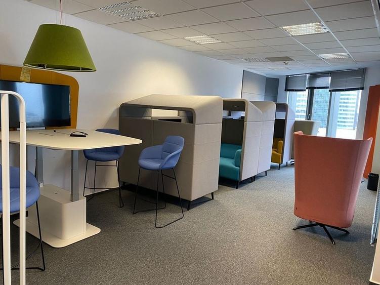 Floreasca Park - spatii de birouri amenajate si mobilate - 10