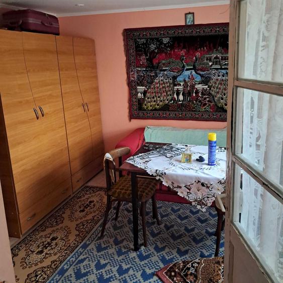 Taren cu casa de vanzare - 8