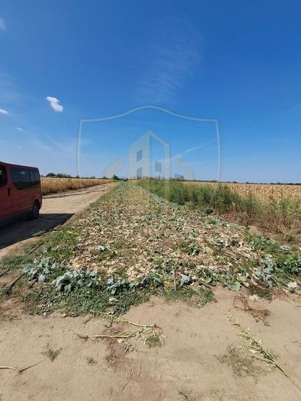 0% COMISION TEREN DE VÂNZARE DE 2470 MP CU POTENȚIAL DE INVESTIȚIE - 2