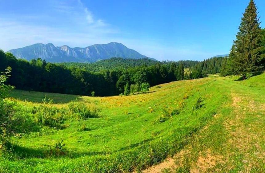 De vanzare teren intravilan Trei Brazi, Predeal - 2