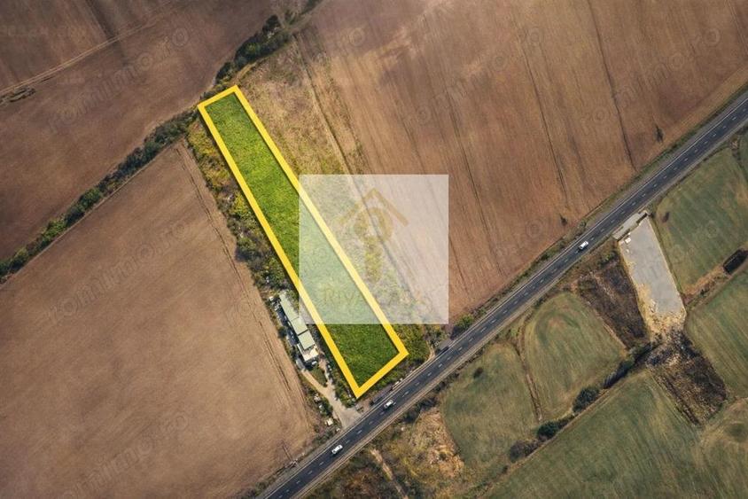 TEREN INTRAVILAN 7.959 MP DN79 NOJORID, BIHOR - 1