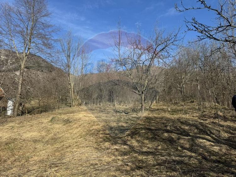 Casă din piatră la poalele Bedeleului – Izvoarele, Alba - 13