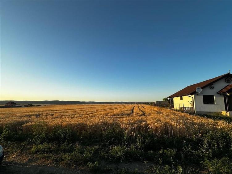 RECO Teren intravilan in Cheriu 2.303 mp - 4