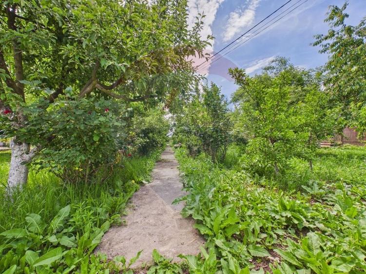Casă 65 mp + teren 4000 mp, livadă, Butimanu - 26