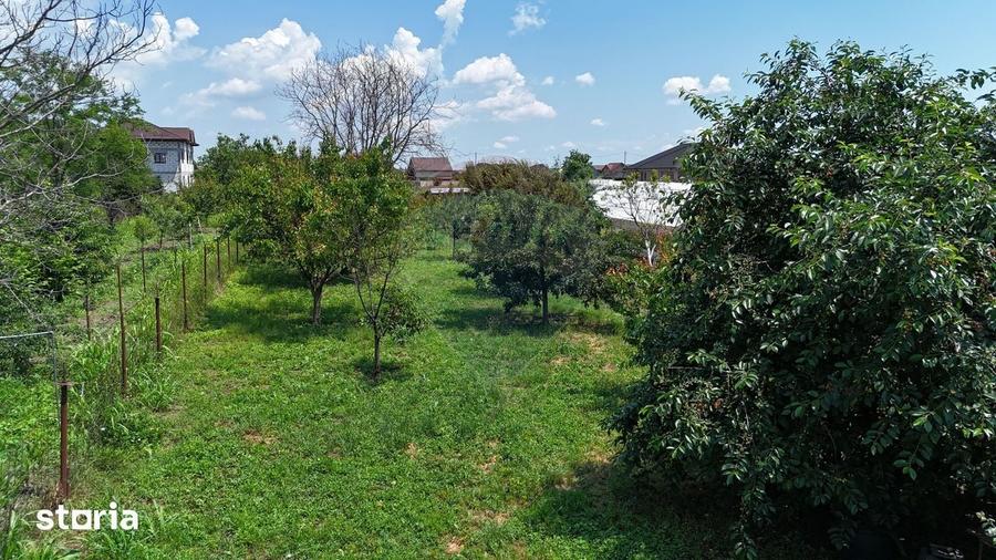 Casa batraneasca cu 3 camere-Oportunitate de Investi?ie in Domnesti - 13