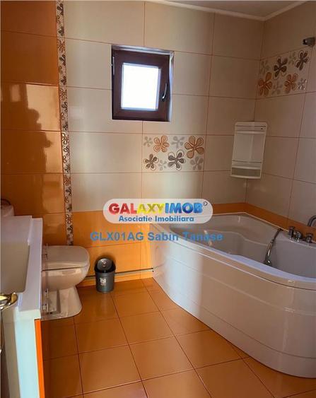 De inchirere vila Stefanesti Lidl ....curte amenajata ter - 1