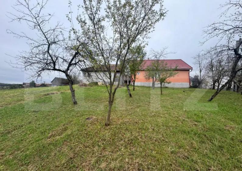 Casa individuala, 3300 mp teren, zona Sintereag - 11
