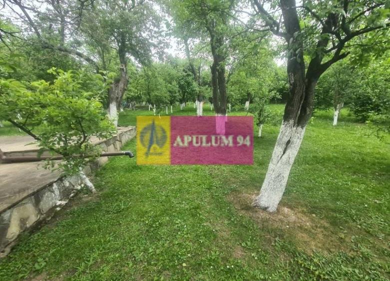 Vilă de v&acirc;nzare &icirc;n Cornu - 58