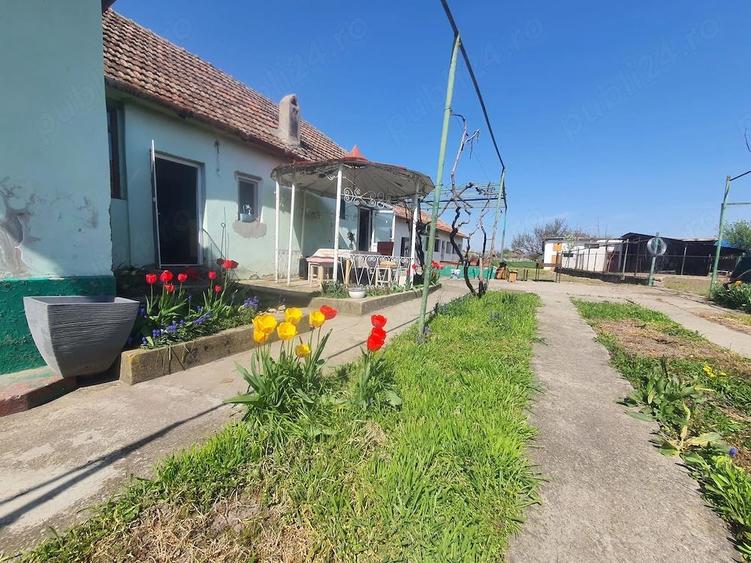 Vand casa Giulvaz strada principala - 1