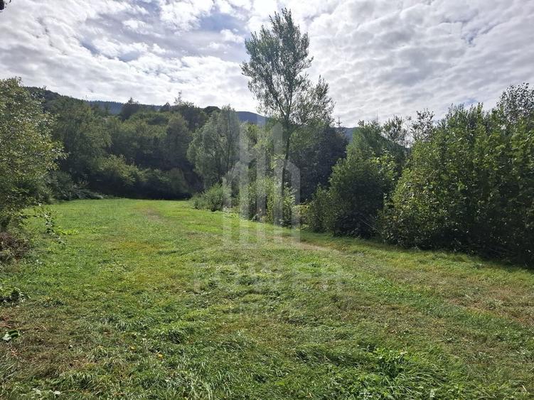 Teren Intravilan de Vânzare – 3622 mp – Râu Sadului - 6