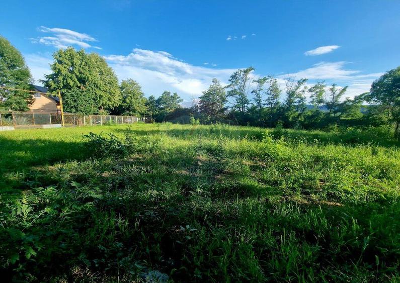 Teren 1,749mp Piatra-Neamt / Strada Zambilelor - 5