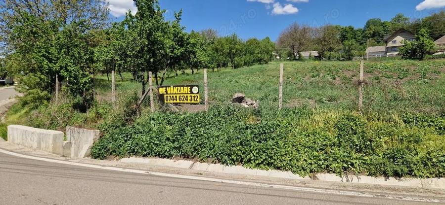 Teren intravilan Lamaseni 3.000 mp - 3