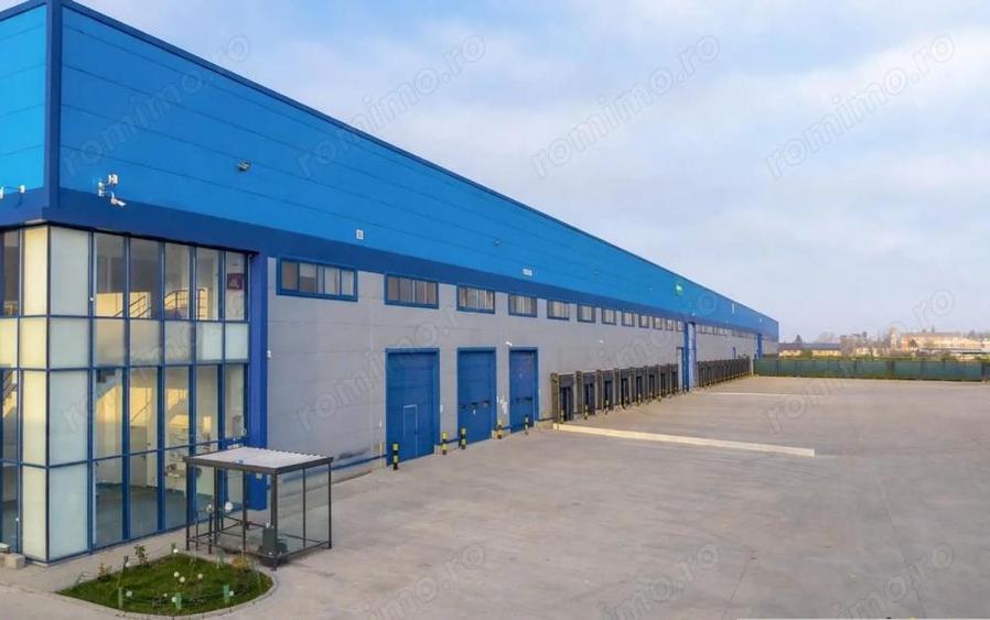 Spatii de depozitare si productie Otopeni - Odai - 4