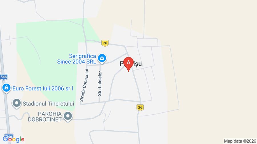 Vând teren intravilan 2000 mp, cu toate utilitaile la poarta - 1