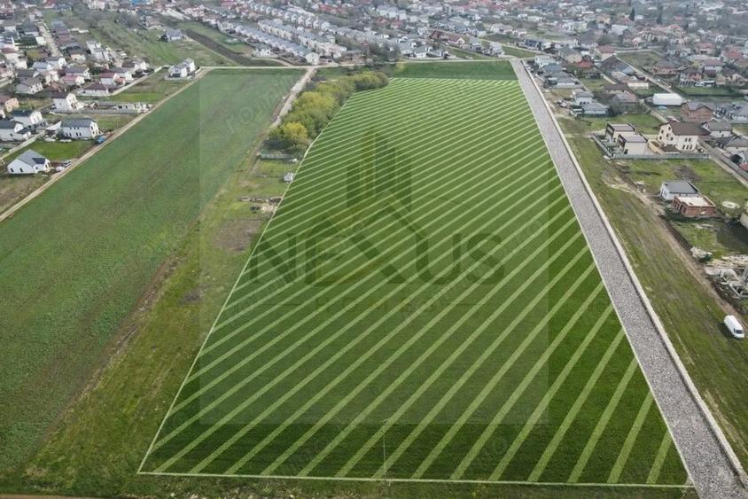Teren | Berceni | Strada Campului - acces la asfalt - optiune rate - 2
