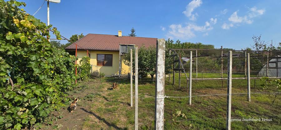 Casa caramida in Costesti - 2