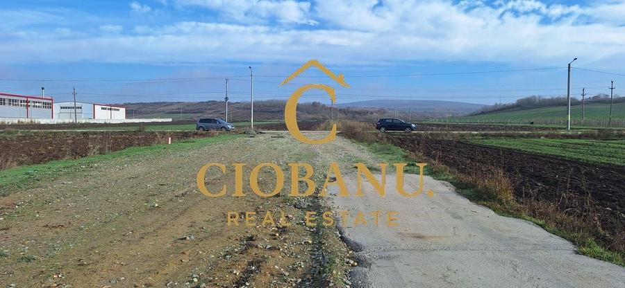 Hala de vanzare in Racari de Jos - 15