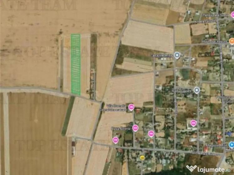 Teren extravilan arabil, Vadu/ Corbu, Constanta - 2