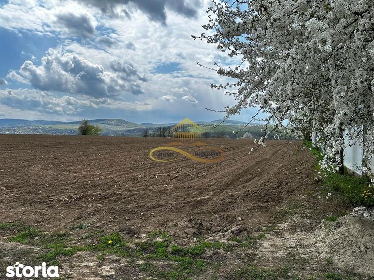 De vanzare doua loturi de teren in Fantanele-Bacau - 1