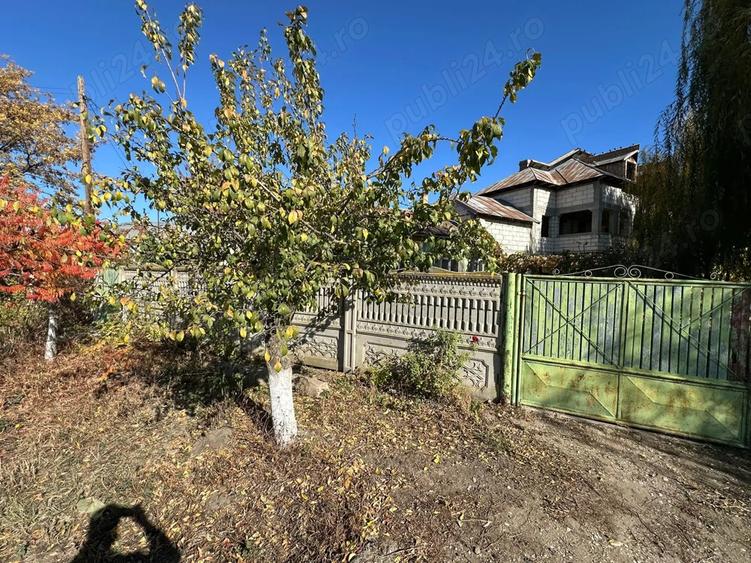 2 case in Comuna Salcia Jud. Teleorman + 7500 mp teren intravilan - 5