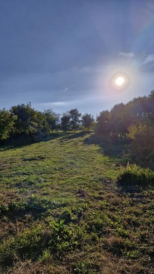 Vand casa Budacu de Jos - 3