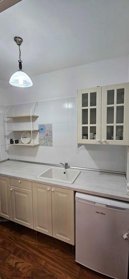 Garsoniera cu vedere spectaculoasa catre Parcul IOR - 8