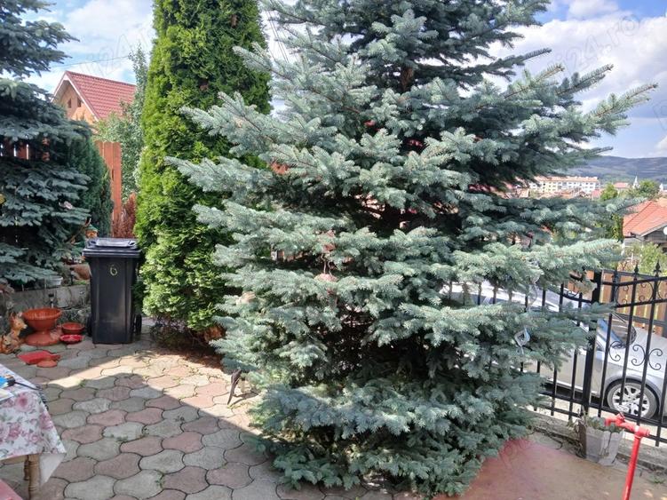 Vand casa in Gherla, strada Livezii, zona lini?tita langa padure. - 1