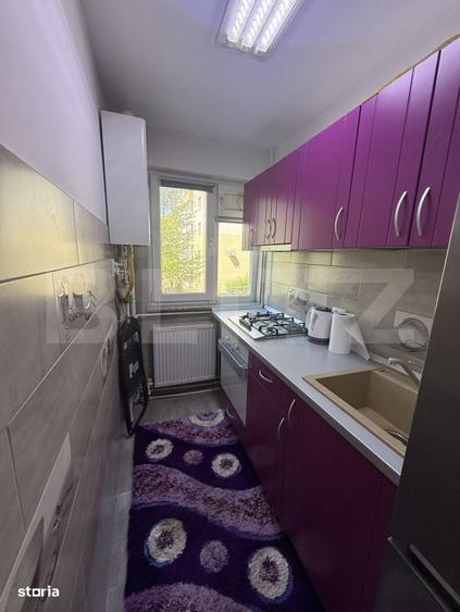 Apartament cu 2 camere, modern, etaj intermediar, George Enescu - 5