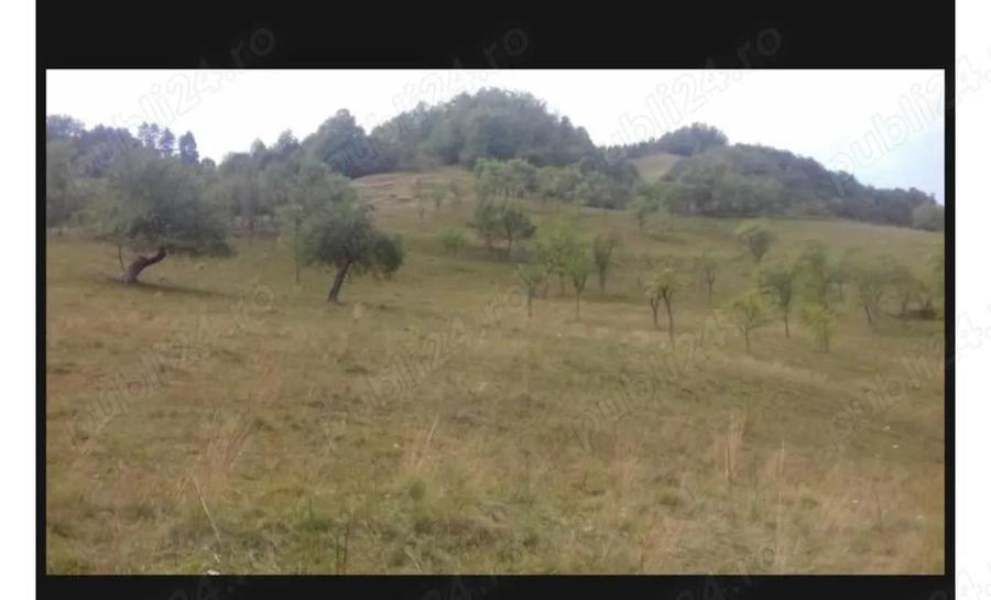 Casa la tara in zona linistita - 1