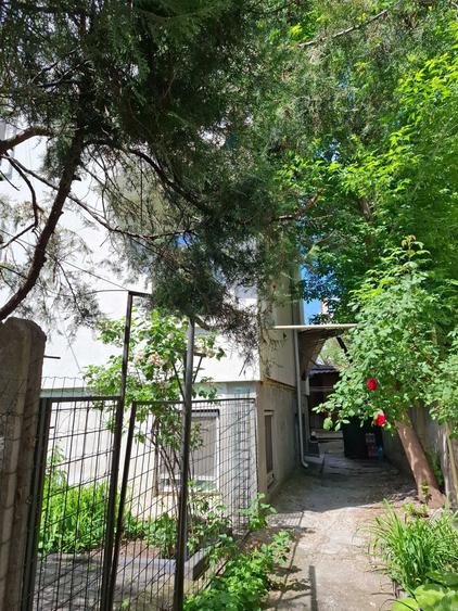 Apartament 3 camere , in Vila, demisol inalt, Zona Unirii - 4