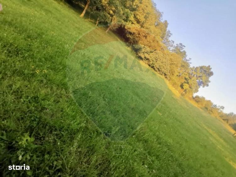 Teren extravilan Breb 6,900mp - 2