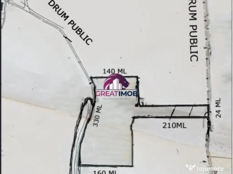 Teren 55.500 mp Snagov Lac - 3