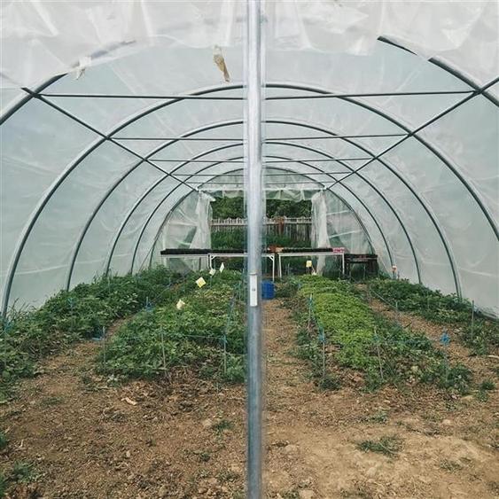 Transilvania Camping, domeniu de 14.400mp, Sanmarghita de Mures:2cladiri, aparta - 19