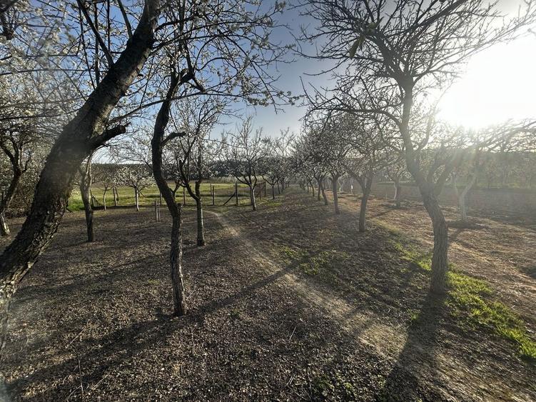 Proprietate 2 case (1noua cu mansarda)multiple anexe 2600 mp - 5