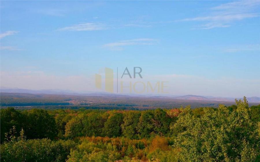 Casa vacanta, 9500 mp teren intravilan, in Valea Calugareas - 15