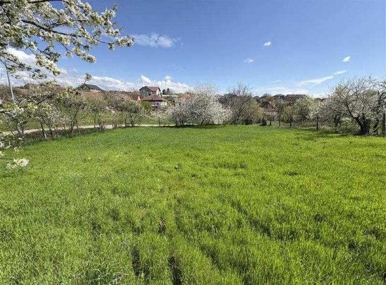 2 fronturi stradale, 632 m2, Giarmata - 2