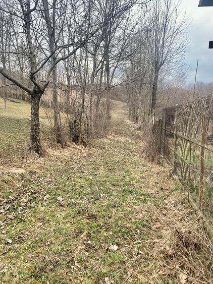 Teren intravilan  - 2