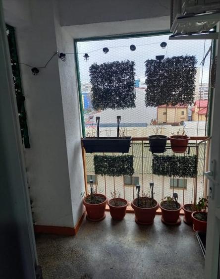 Apartament 2 camere /  70 mp / Zona km 4-5  / centrala / Lift / pet friendly - 19