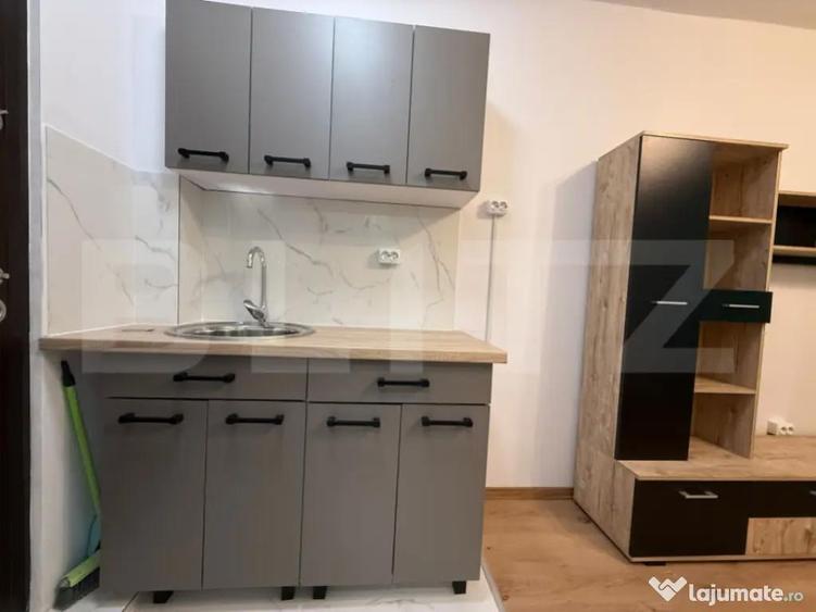 Camera de camin, 17 mp, zona Bularga - 4