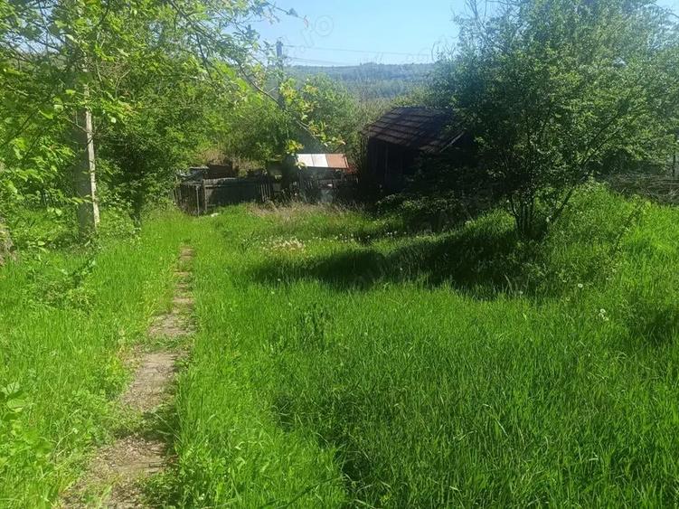 Vand casa cu anexe ?i teren 8900 mp - 1