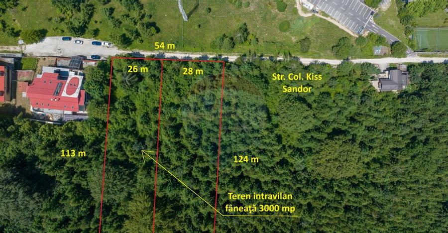Teren intravilan, 3000 mp, Dambu Morii - 9