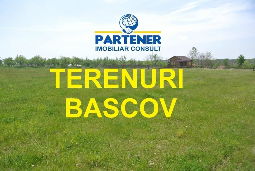 Teren Bascov, diverse suprafete - 1