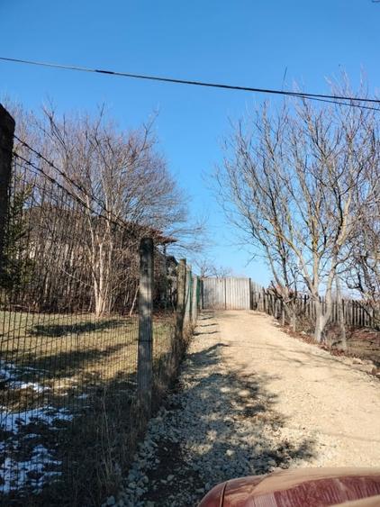 1400 mp. Deschidere 38 m Teren Intravilan CETATE Valea Popii utilitatile langa - 5