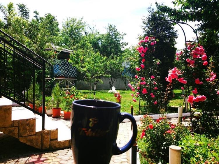 Vând Vila Agigea d+p+e+m - 4