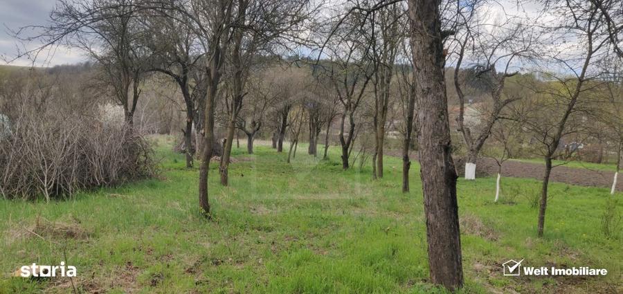 Comision 0% ! Teren Intravilan Central Baciu Toate Utilitatile - 1