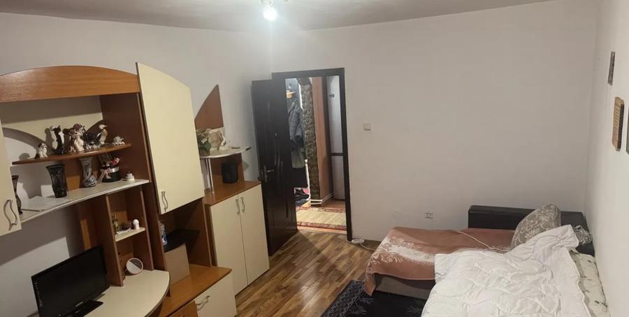 Apartament cu 2 camere, suprafata de 45 mp, langa lacul Noua - 1