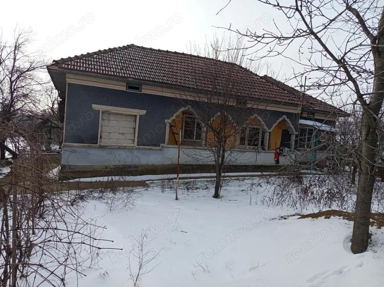 Casa + Teren generos 3283 mp in Curcani, CL Gaze la poarta (Posibilitate parcelare) - 2