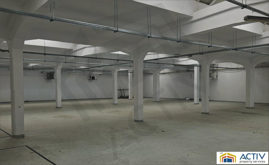Spatiu industrial de inchiriat in Cisnadie-Sibiu - 4