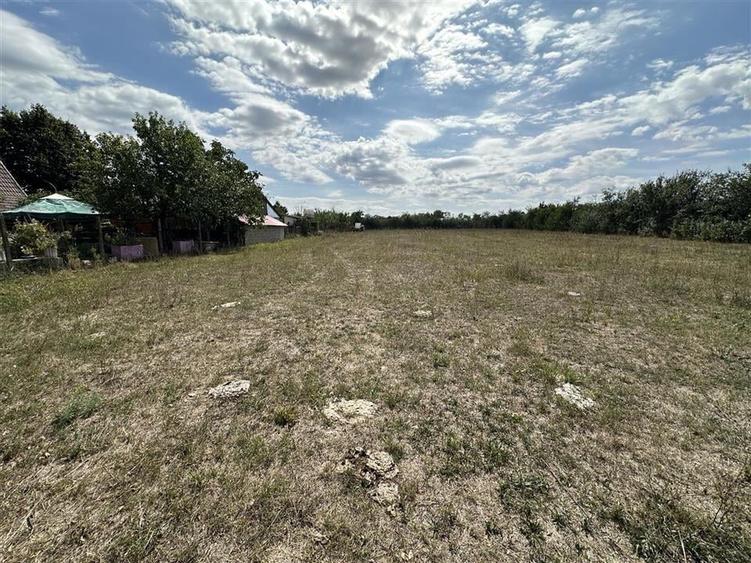 TEREN INTRAVILAN 1226 MP | ZONA CHISIRID - 4