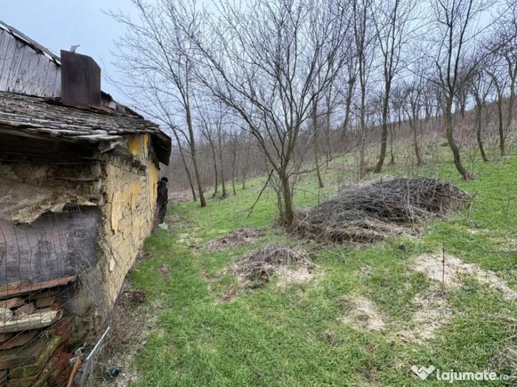 Teren 2.038 mp + Casa 50 mp de vanzare Sat Luncsoru, C - 14